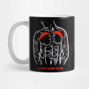 Gym Trainer Muscles Anatomy Clavicular Head Mug